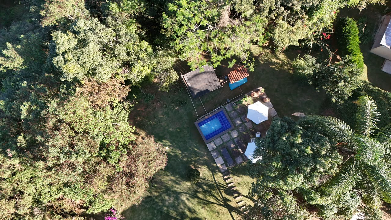 Aerial view of the pool surrounded by native forest