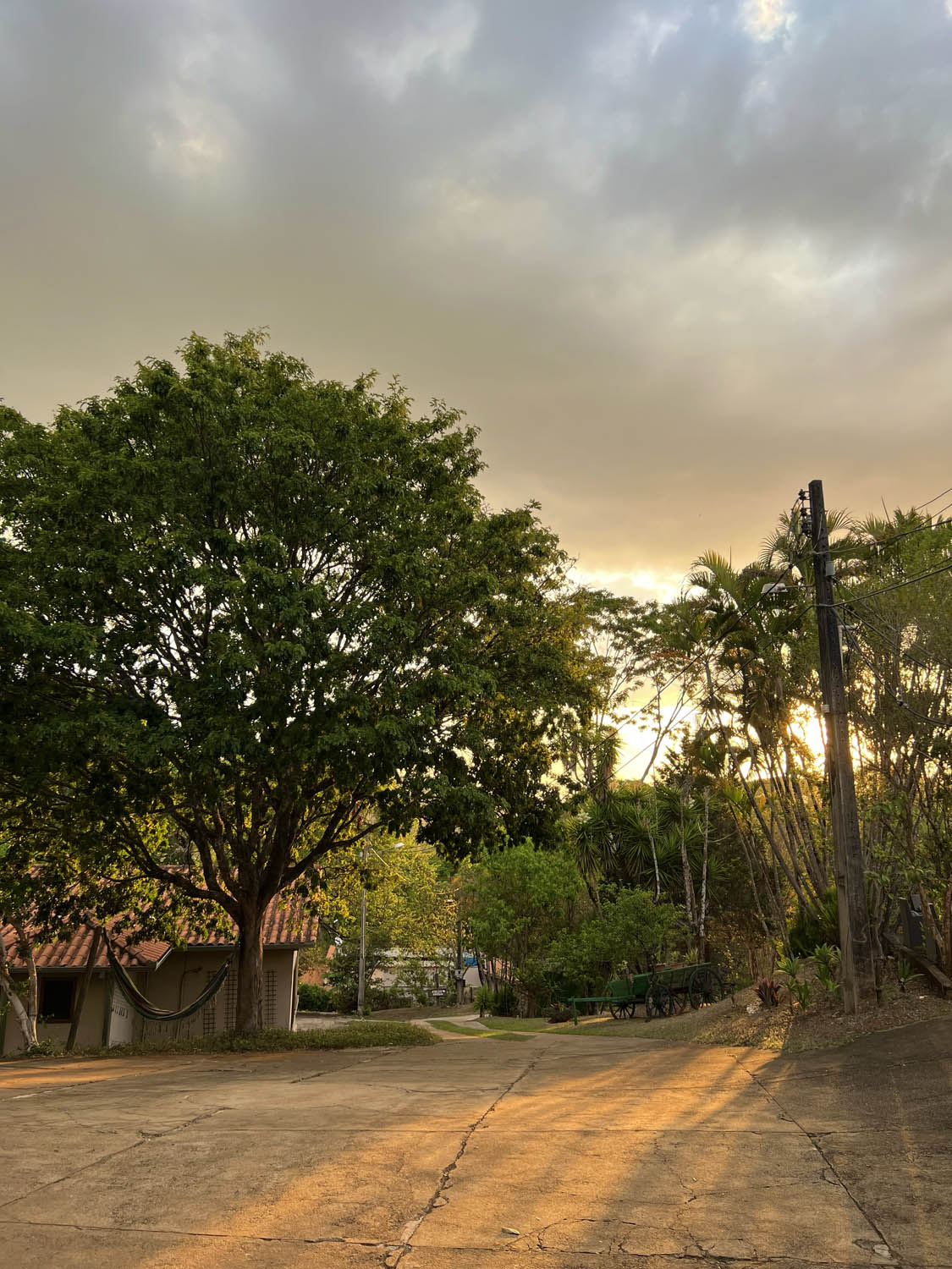 Tree-lined entrance to the inn at sunset
