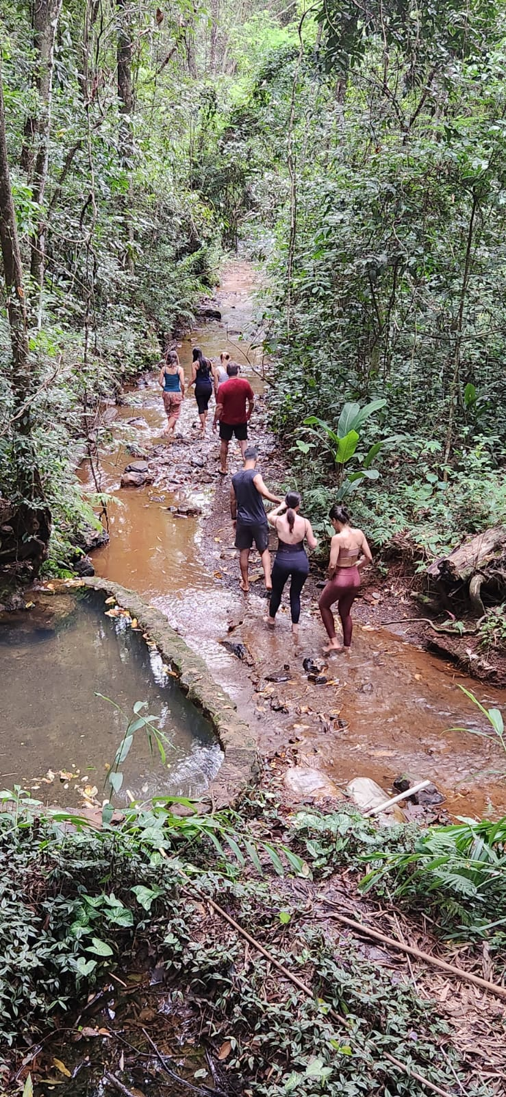 Espaço Viverde